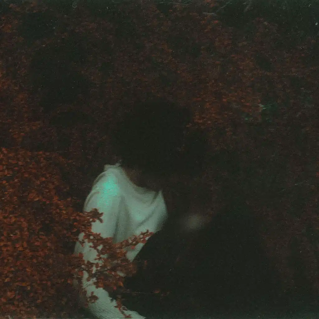 Point of View - Acoustic