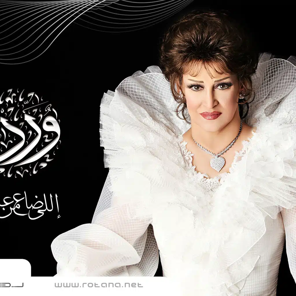 اللى ضاع من عمرى