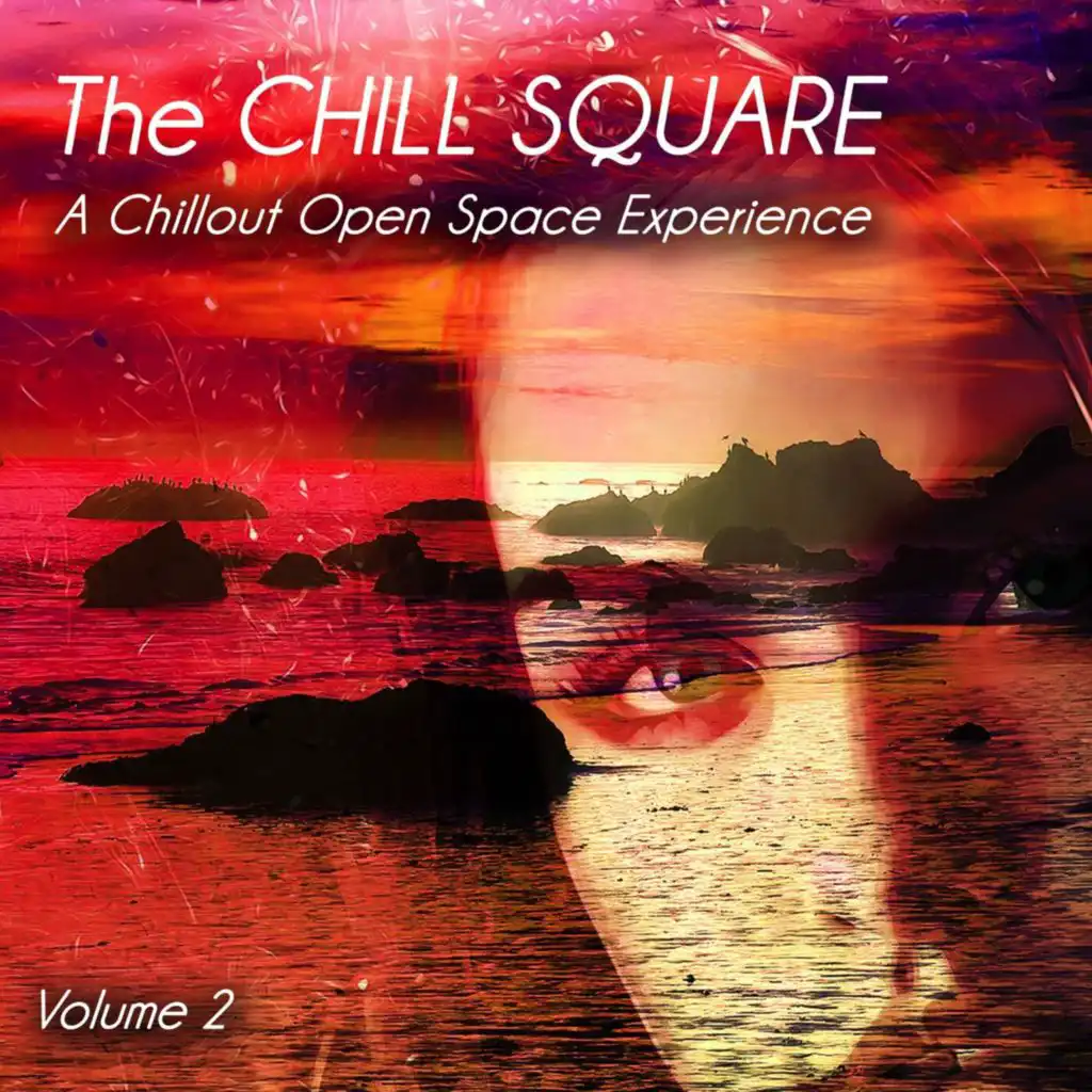 The Chill Square, Vol. 2 - a Chillout Open Space Experience