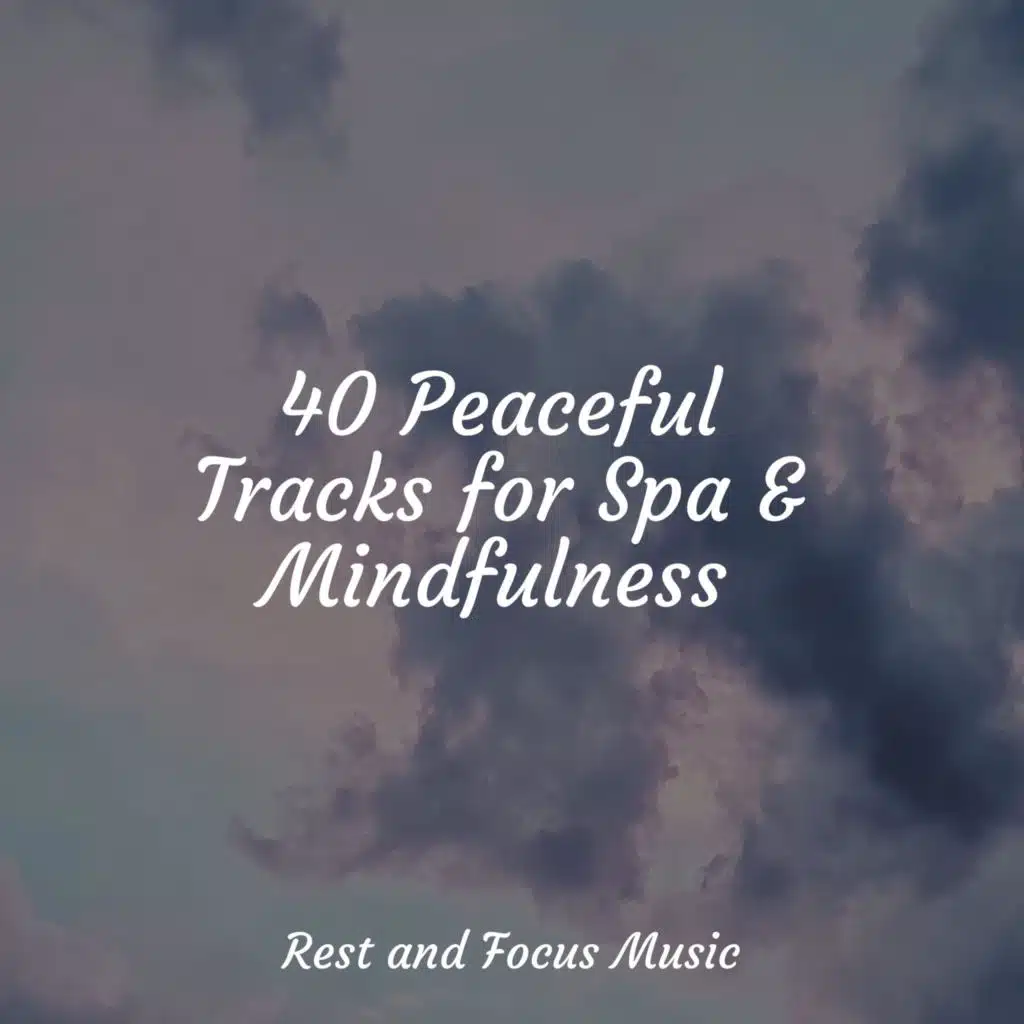 40 Peaceful Tracks for Spa & Mindfulness