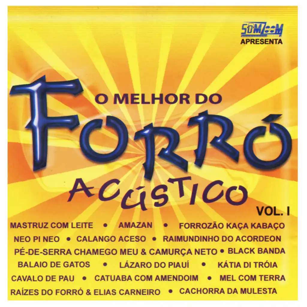 O Melhor do Forró Acústico