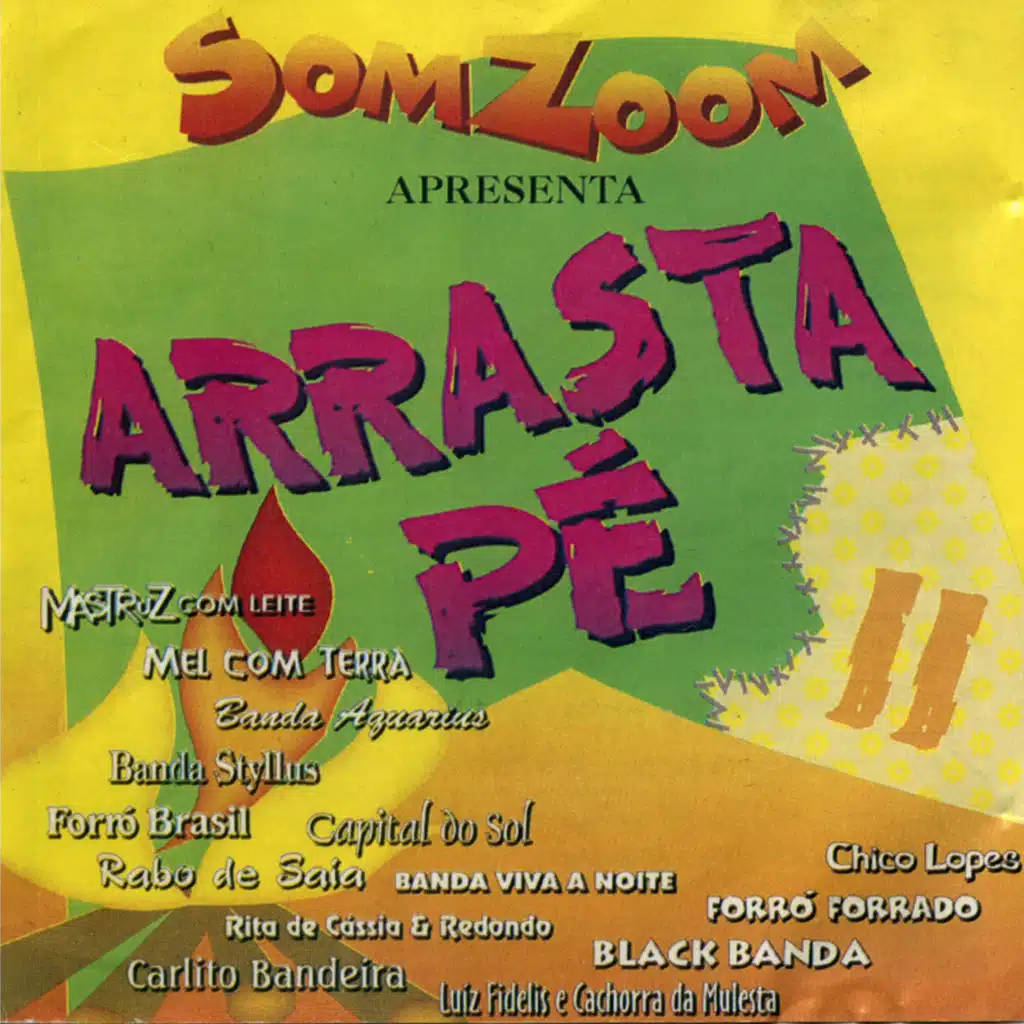 SomZoom Apresenta: Arrasta-pé do Forró, Vol II