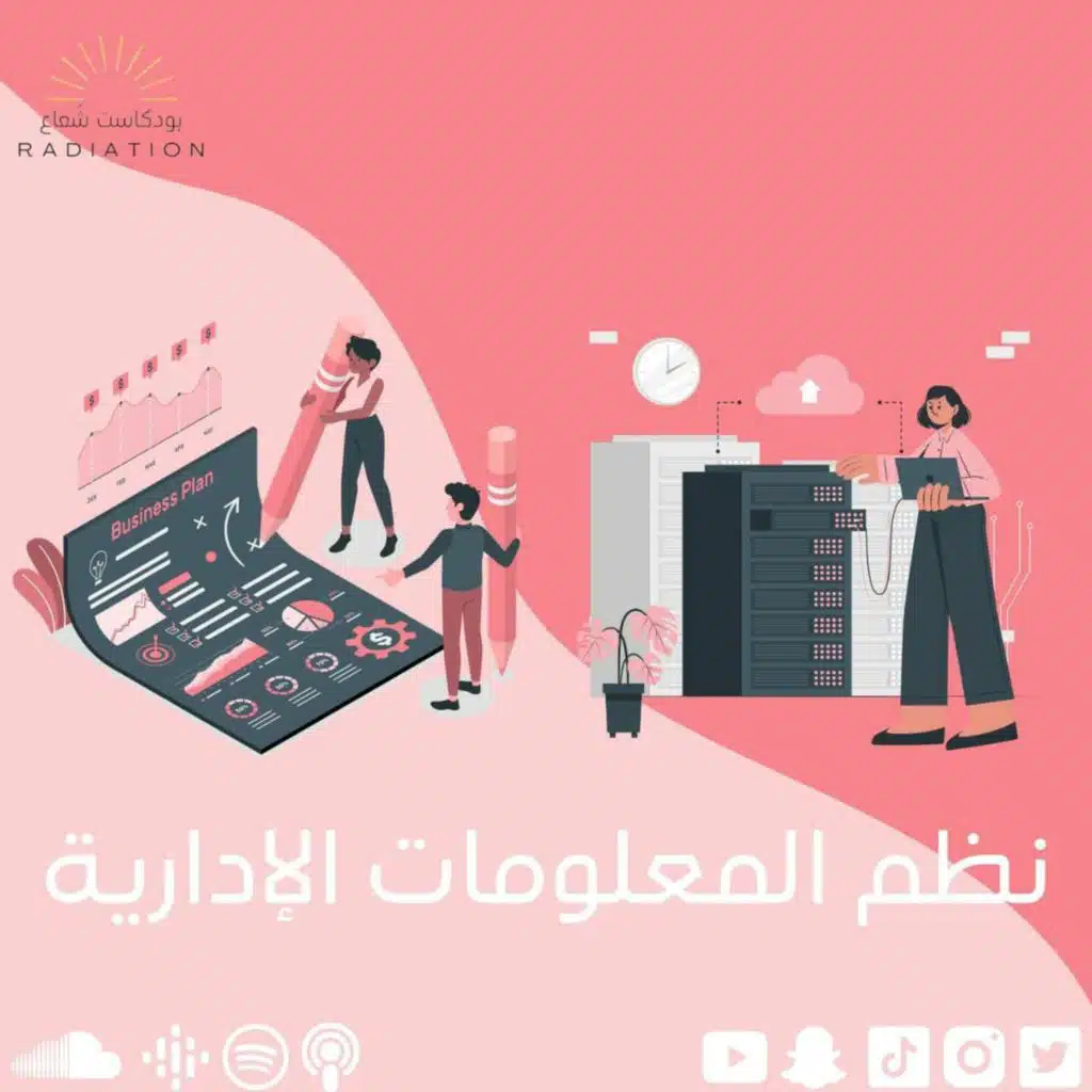 تخصص نظم المعلومات الإدارية - Management information systems
