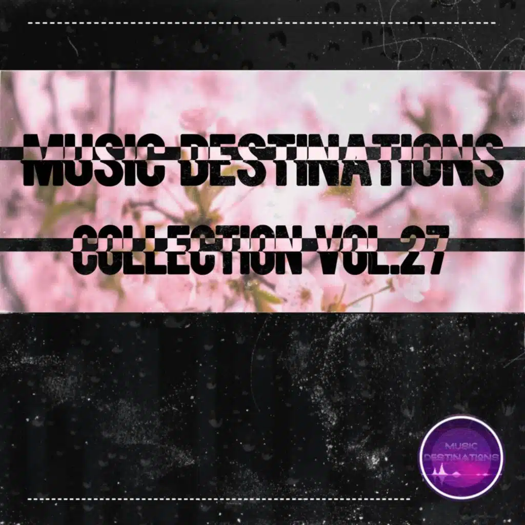 Incode, Qwizar Wols, Razus & Yudzhin Tech