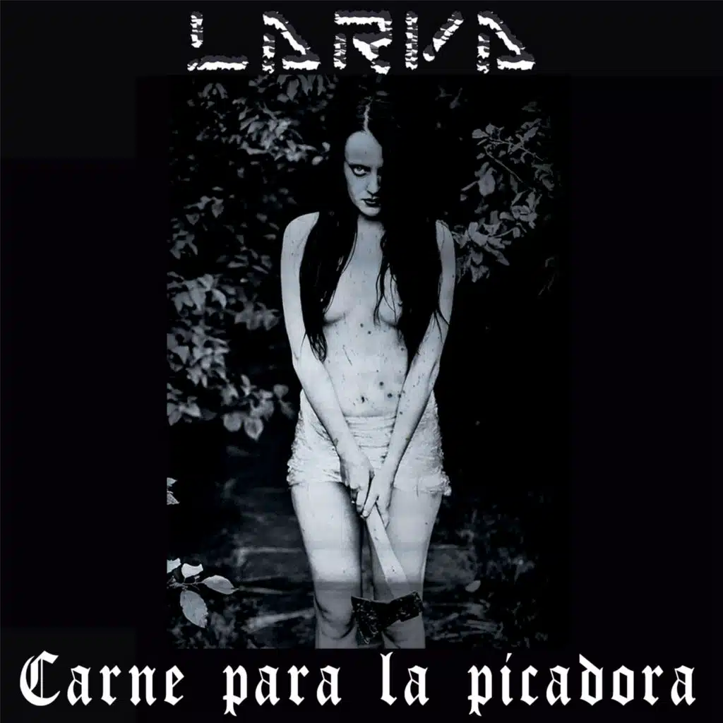 Carne Para La Picadora