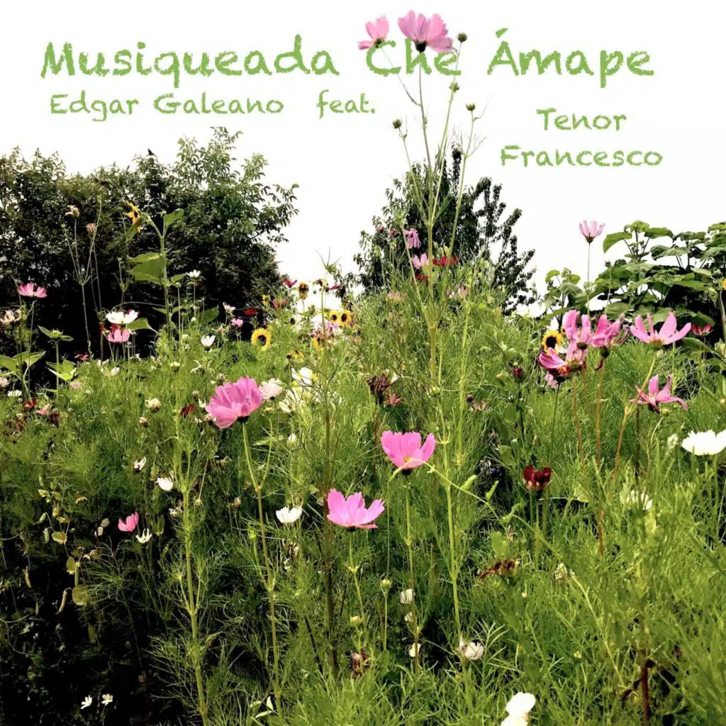 Musiqueada Che Ámape (feat. Tenor Francesco)