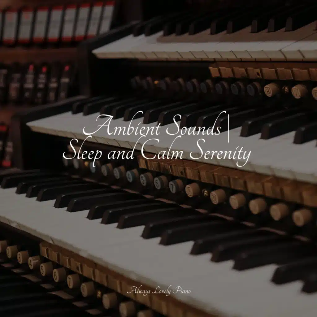 Ambient Sounds | Sleep and Calm Serenity