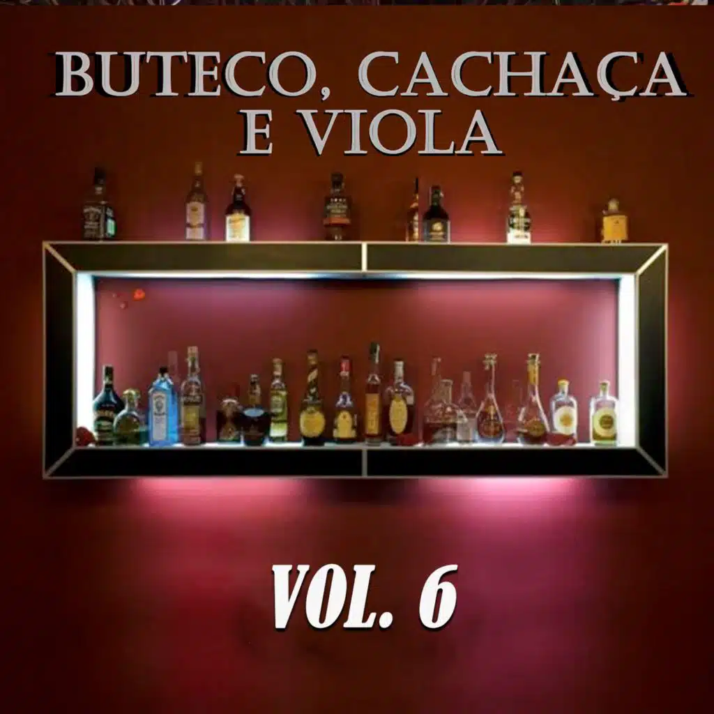 Buteco, Cachaça e Viola, Vol. 6