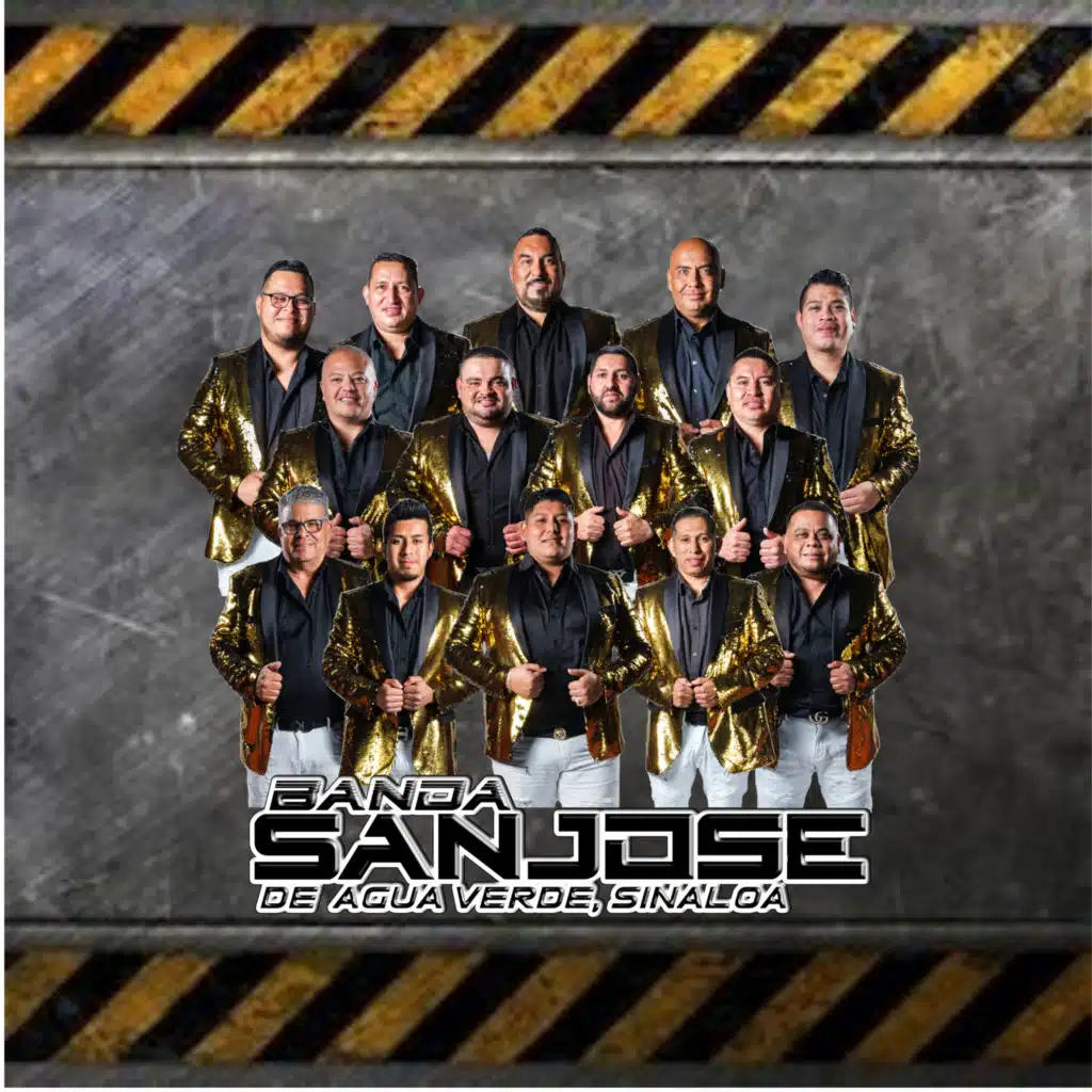 Colaboraciones Musicales (En Vivo)