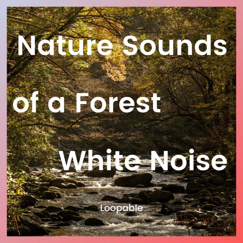 Nature Sounds of a Forest for Relaxation and White Noise, Loopable