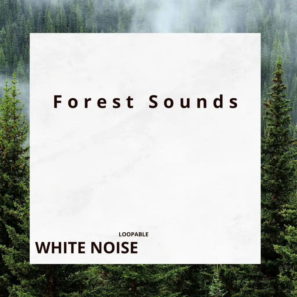 Forest Sounds - Relaxing Sleep (White Noise), Loopable