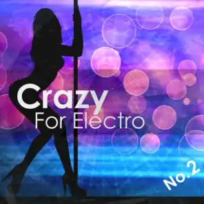 Crazy for Electro, No. 2: Selection for Djs