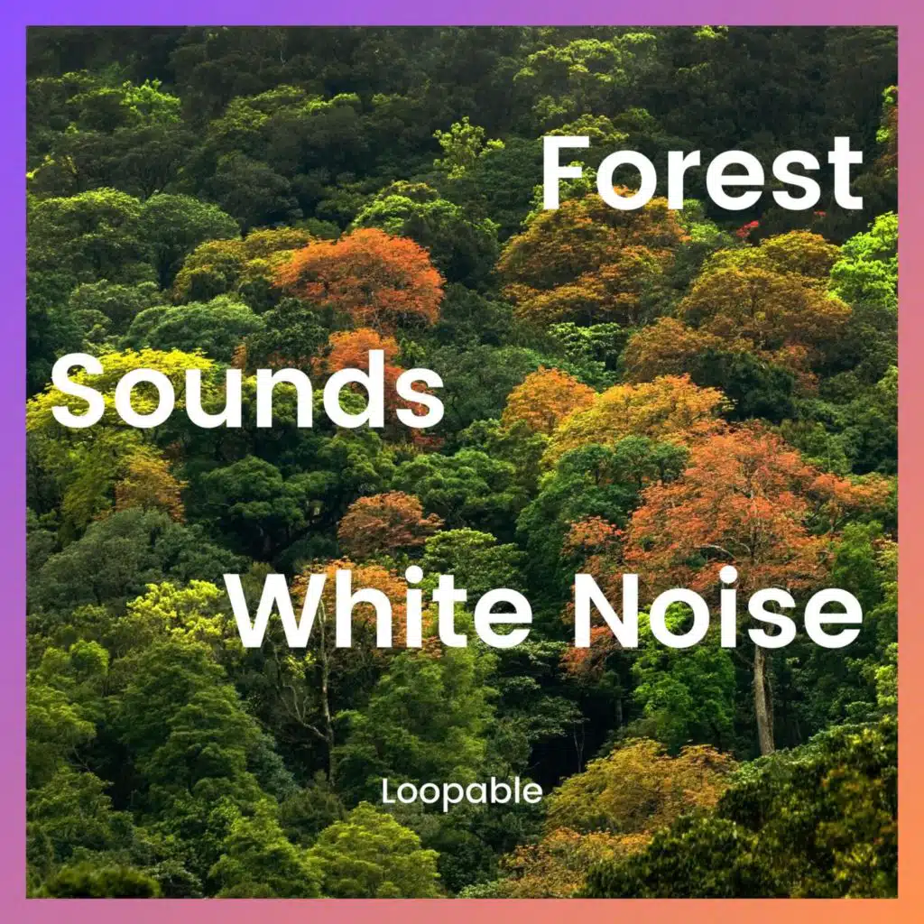 White Noise ASMR & Forest Sounds Channel