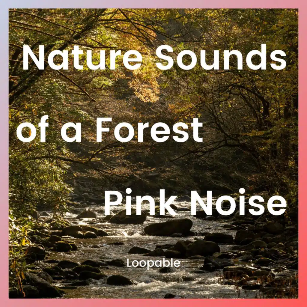 Nature Sounds of a Forest for Relaxation and Pink Noise, Loopable