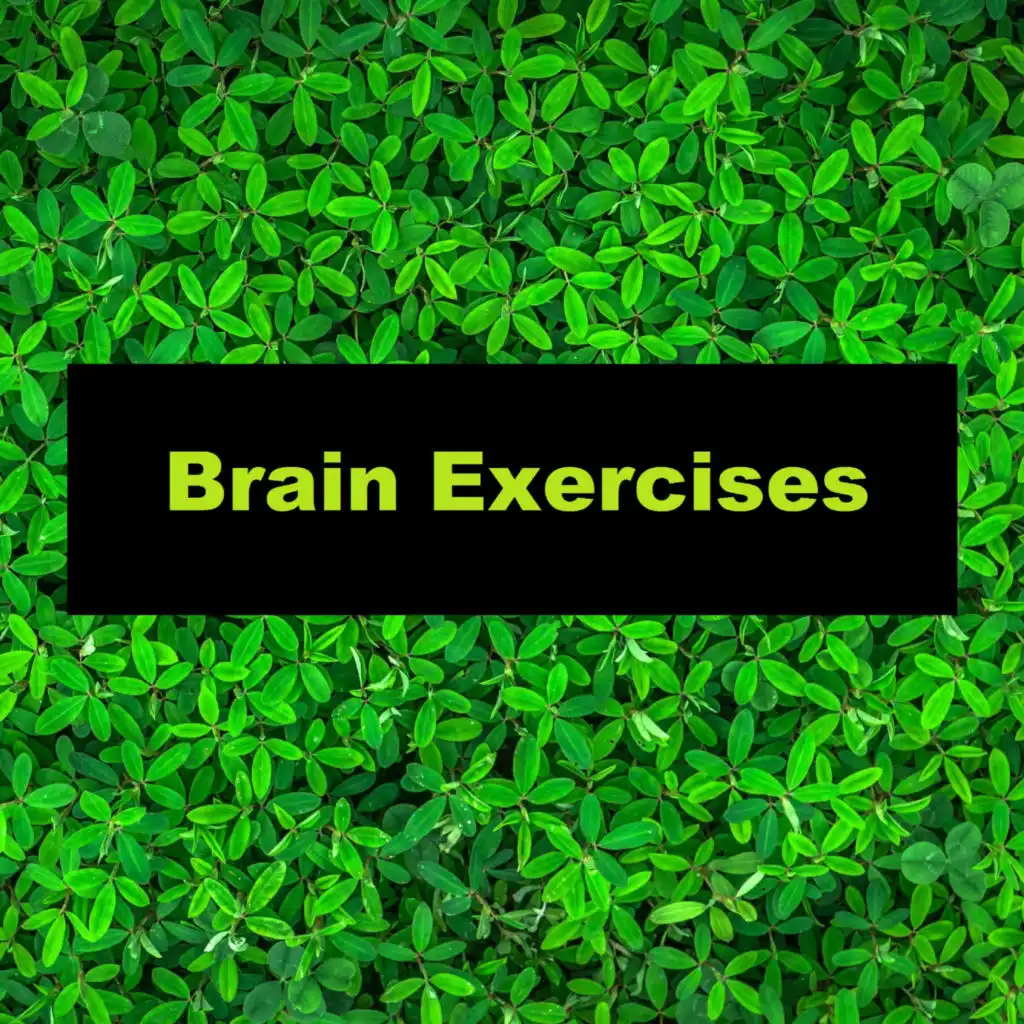 Brain Exercises