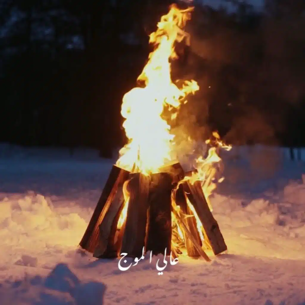 مصدق شو صار (Feat. Bataineh)