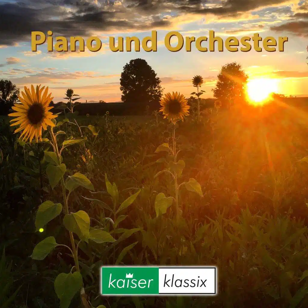 Piano und Orchester