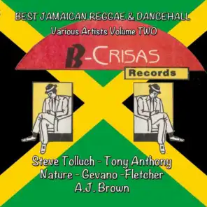 Best Jamaican Reggae and Dancehall, Vol. 2