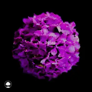 Purple Hydrangea (Chill Out Version)