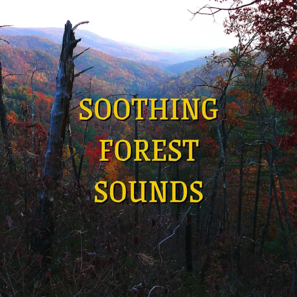 Peaceful Nature Music