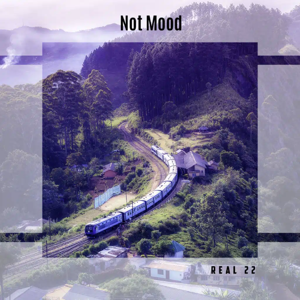 Not Mood Real 22