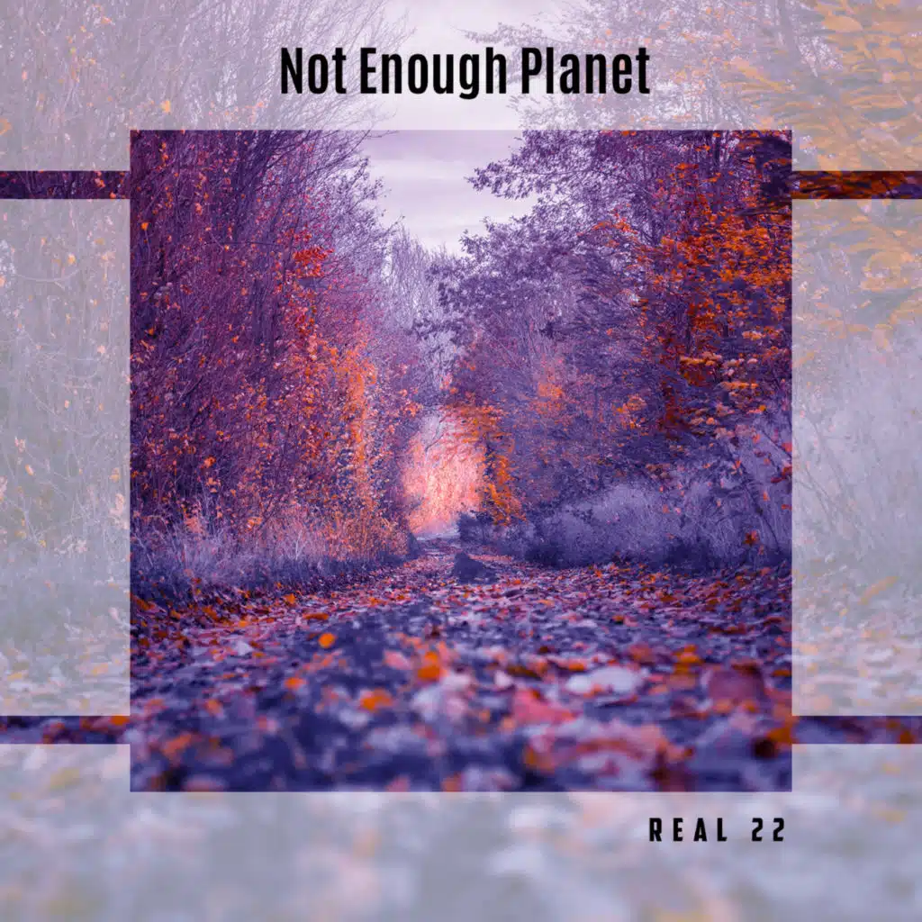 Not Enough Planet Real 22