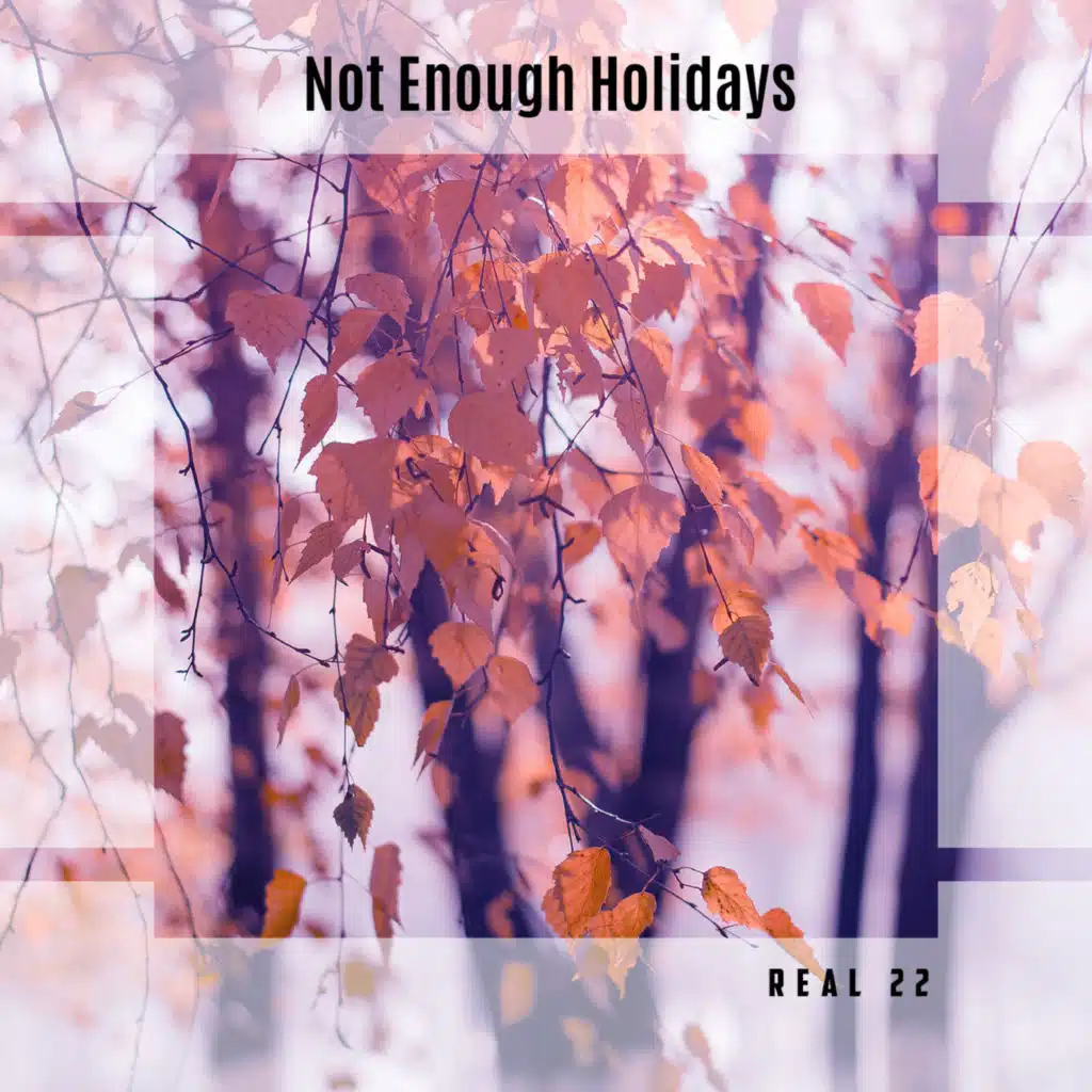 Not Enough Holidays Real 22