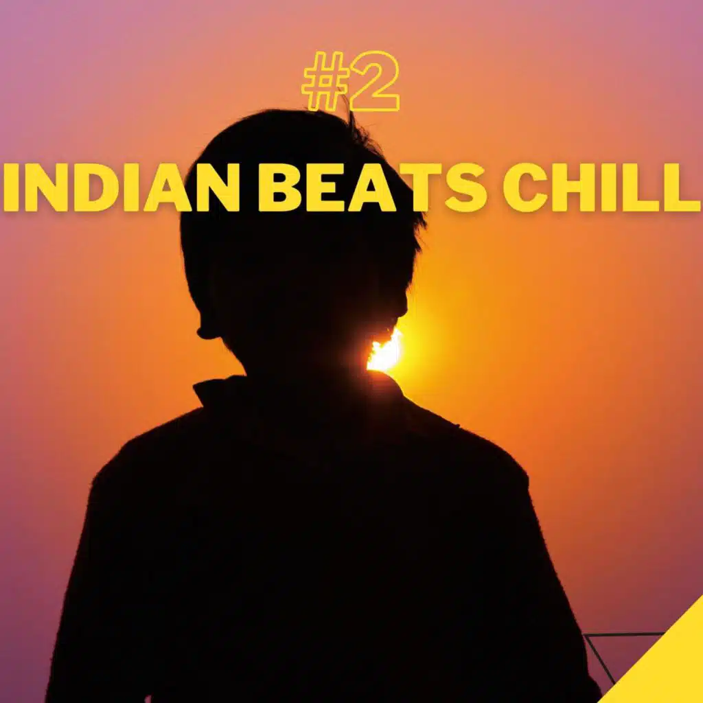 Indian Beats Chill #2