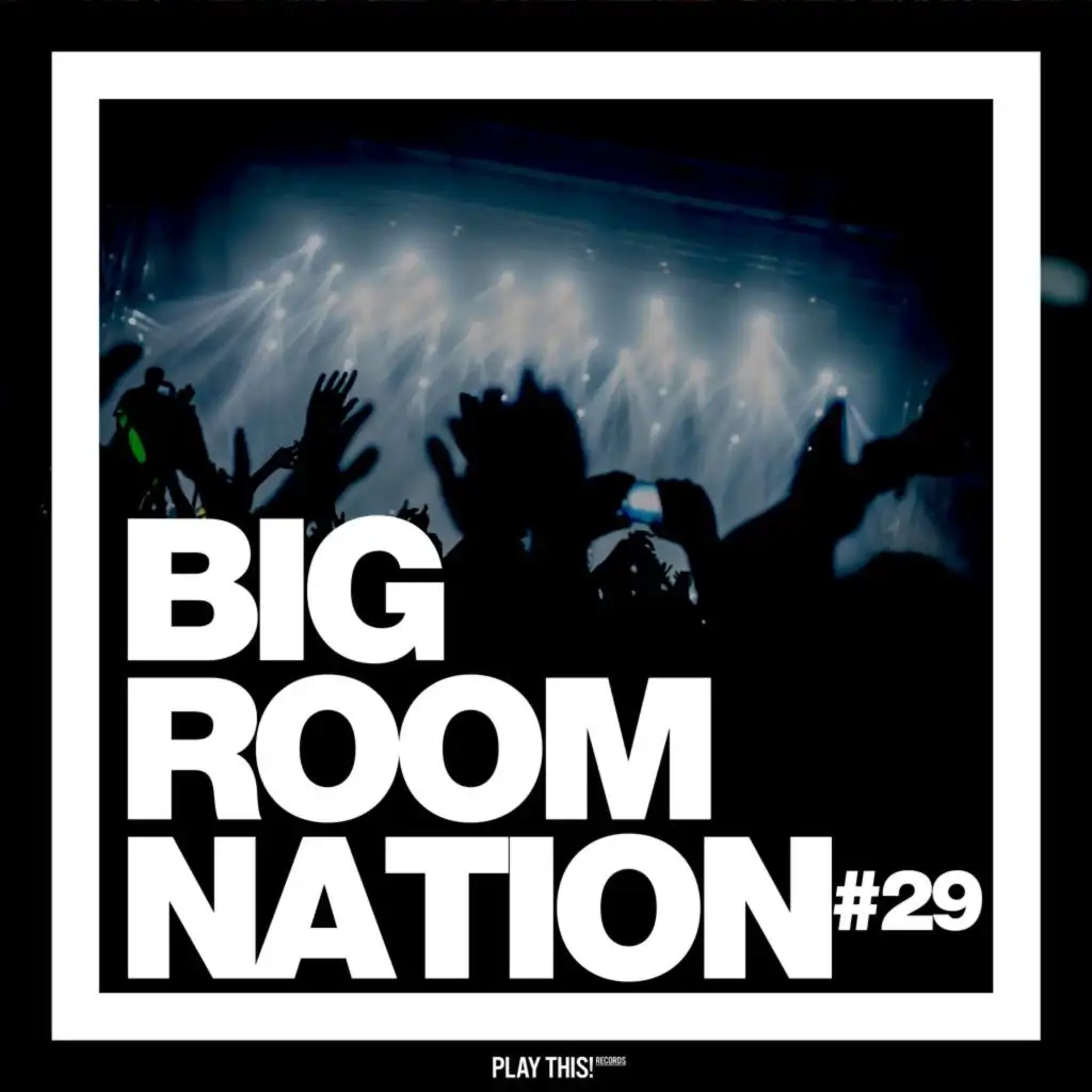 Big Room Nation, Vol. 29