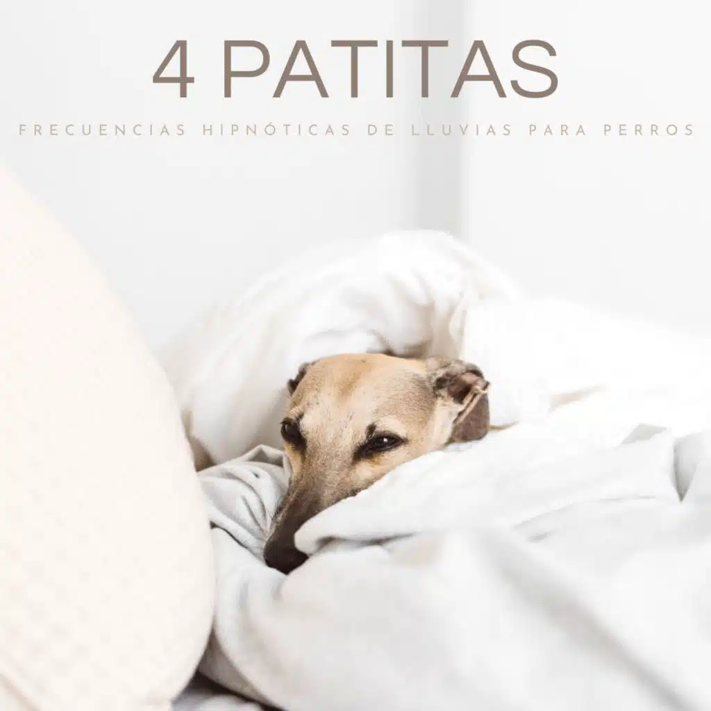 Música Para Perros