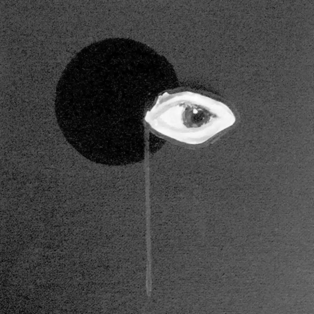 Vinzenz Schwarz, Camulet & Analogique