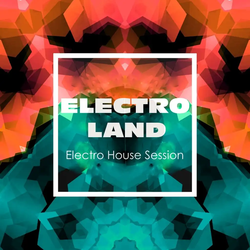 Electroland