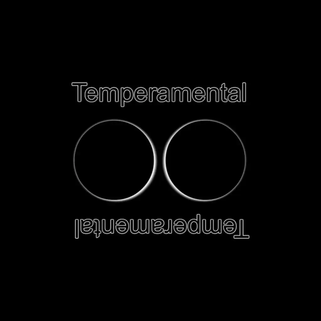 Temperamental (Manuel De La Mare Remix)