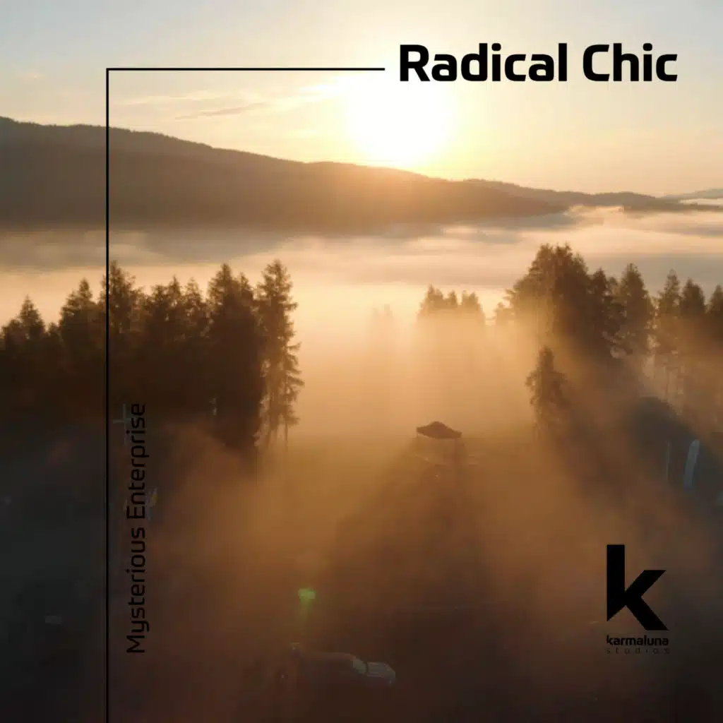 Radical Chic