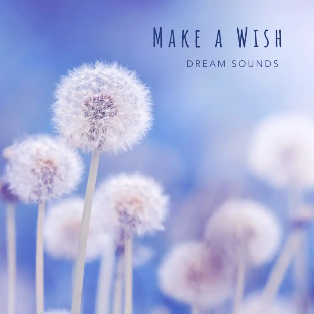 Make a Wish