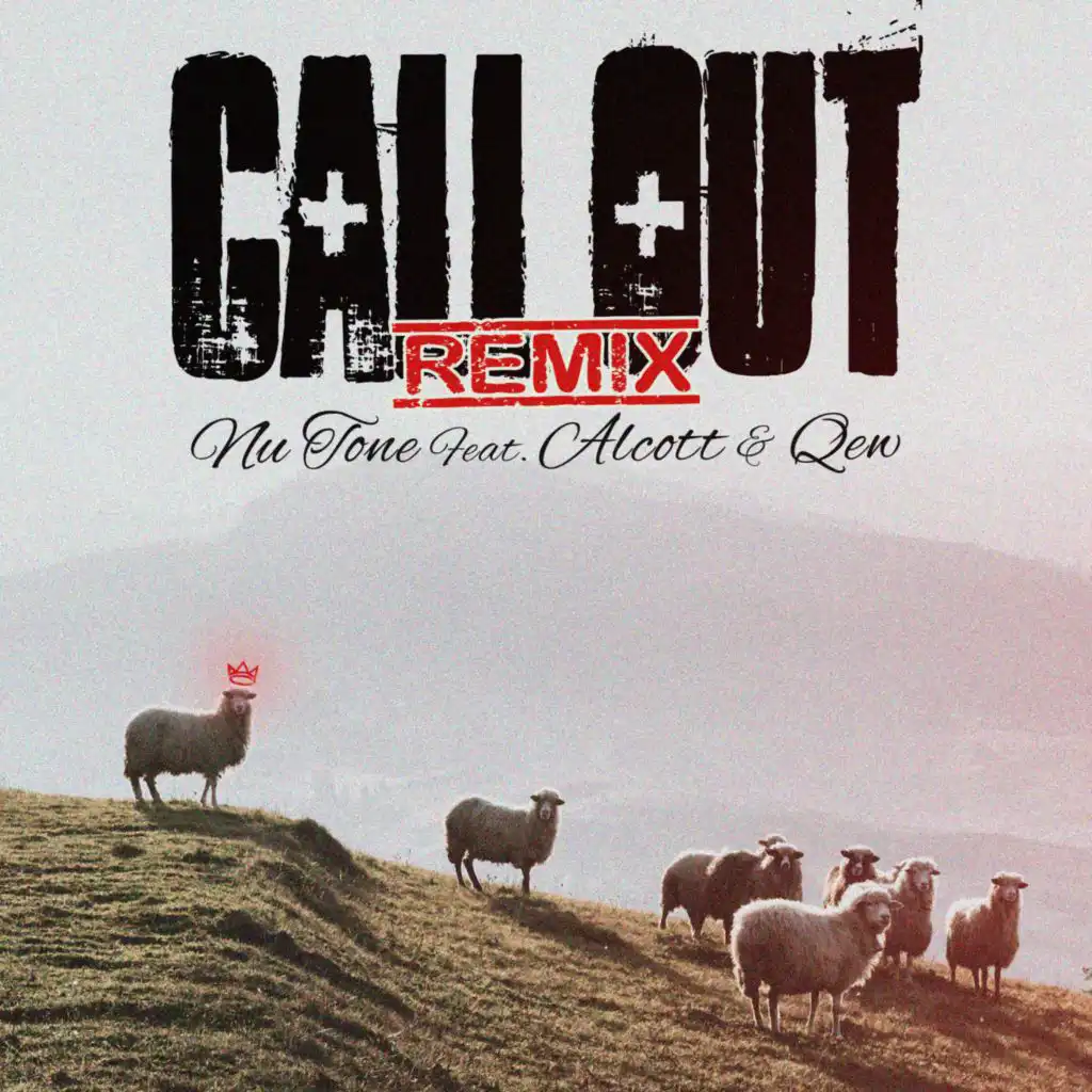 Call Out (feat. Alcott & QEW) (Remix)