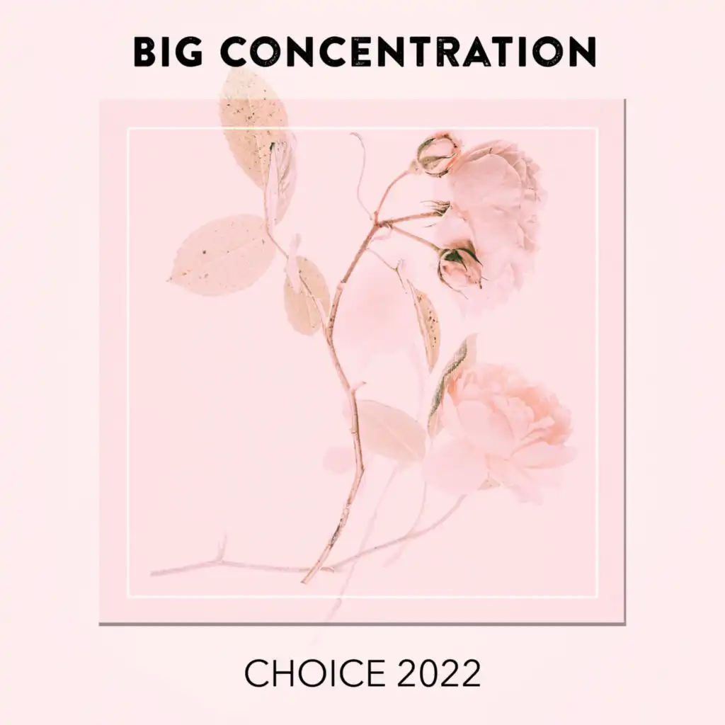 Big Concentration CHOICE 2022