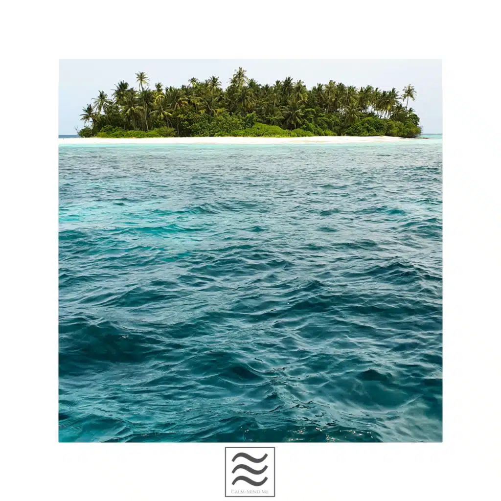 Ruidos sobrios de mares y océanos en calma para dormir