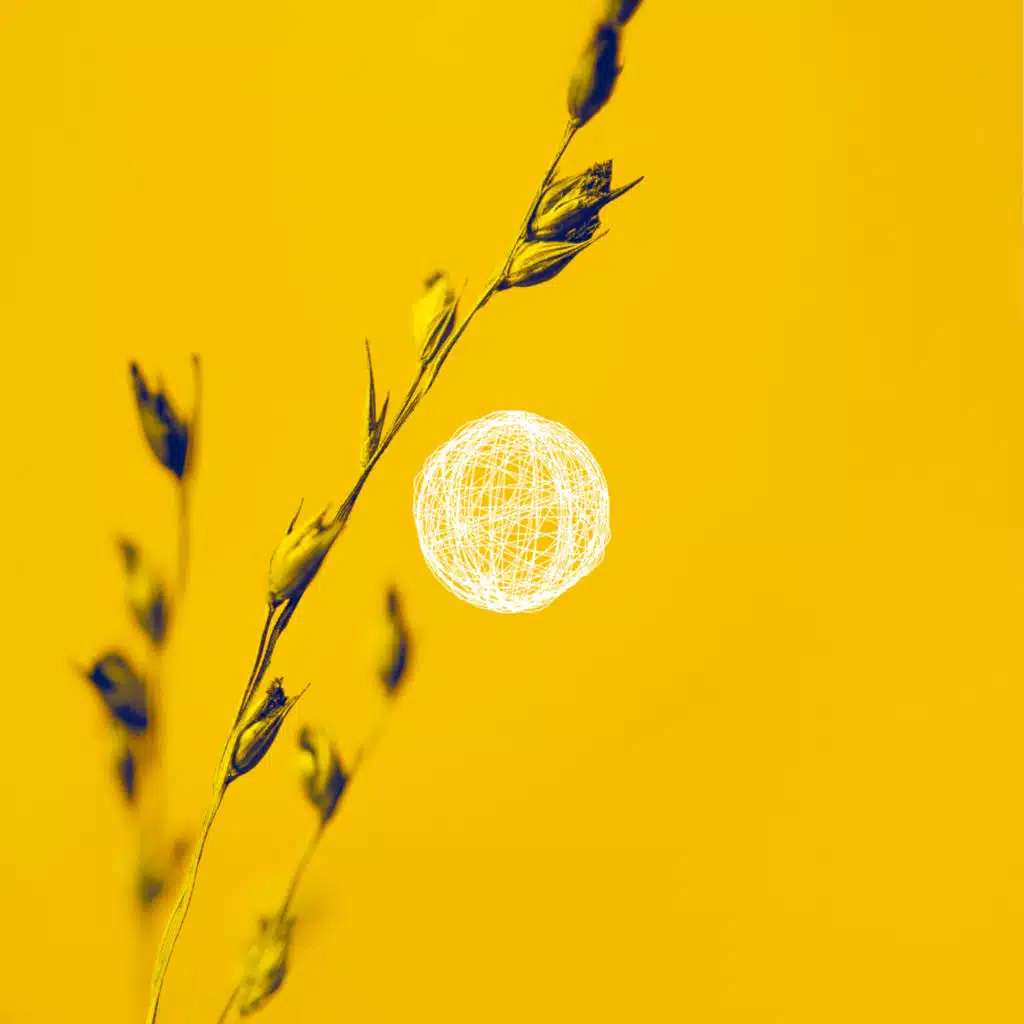 The Journey & Pantheon