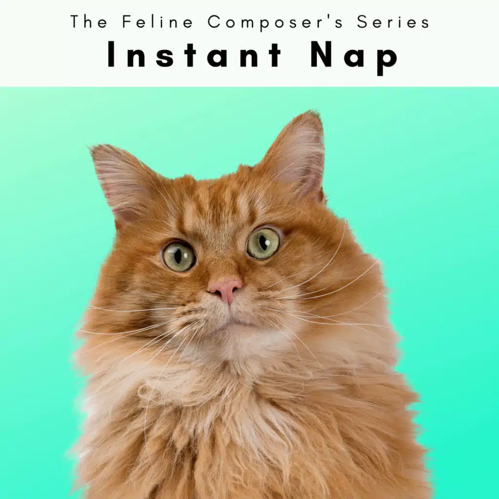 The Feline Composer's Series