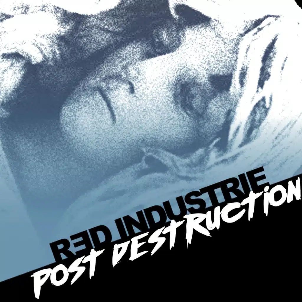 Post Destruction (Radio Edit)