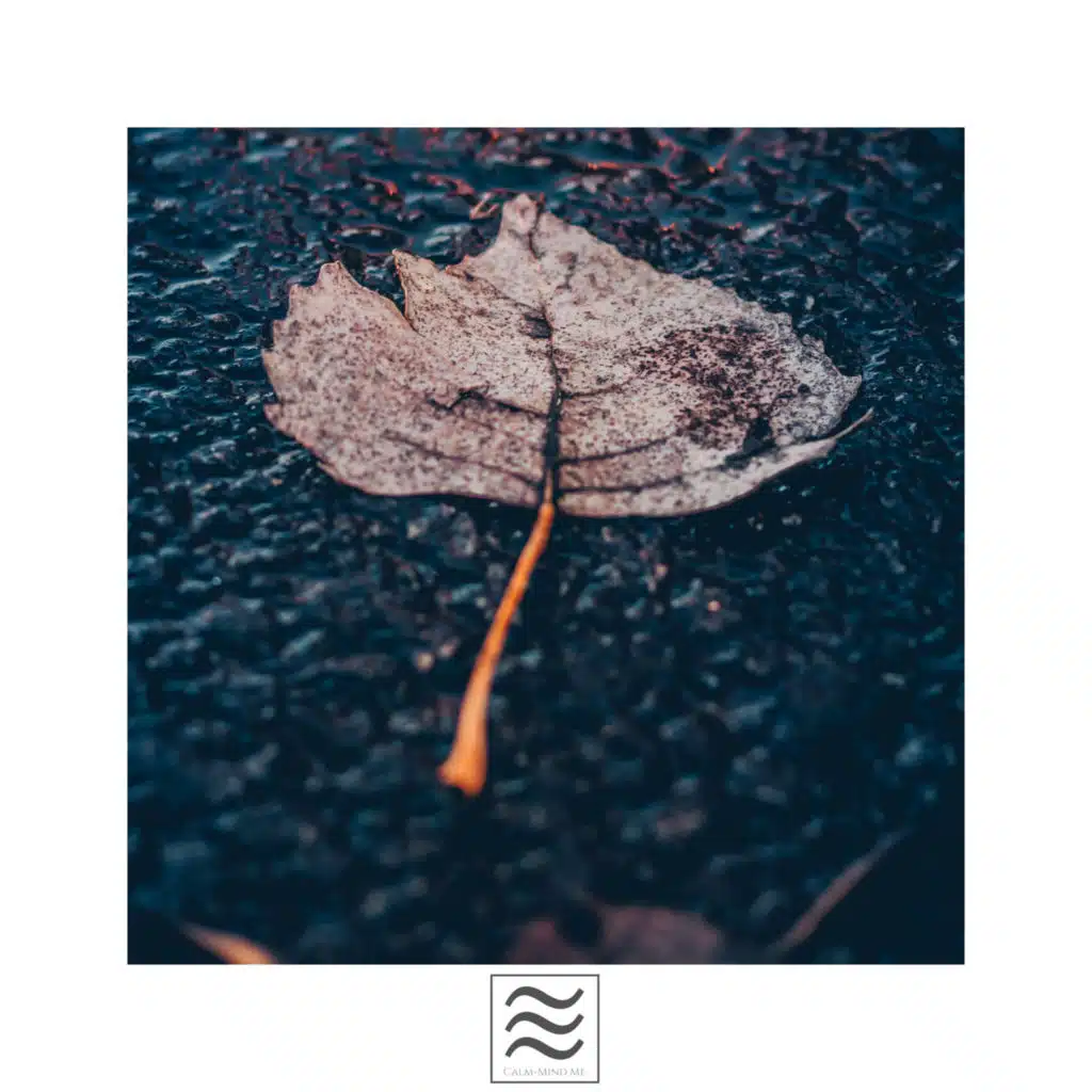 Lluvia natural fina