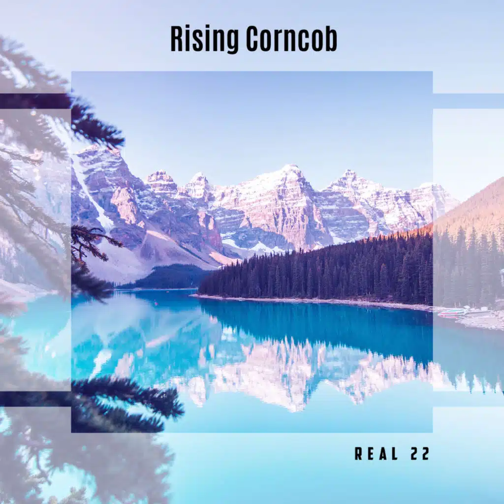 Rising Corncob Real 22