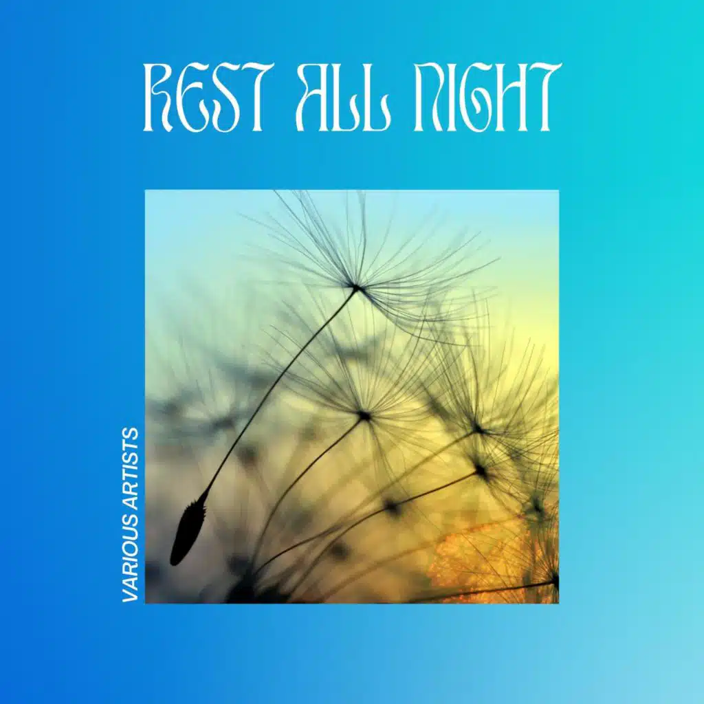 Rest All Night