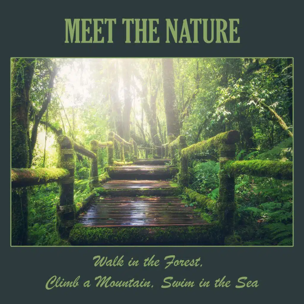 Meet the Nature: Walk in the Forest, Climb a Mountain, Swim in the Sea