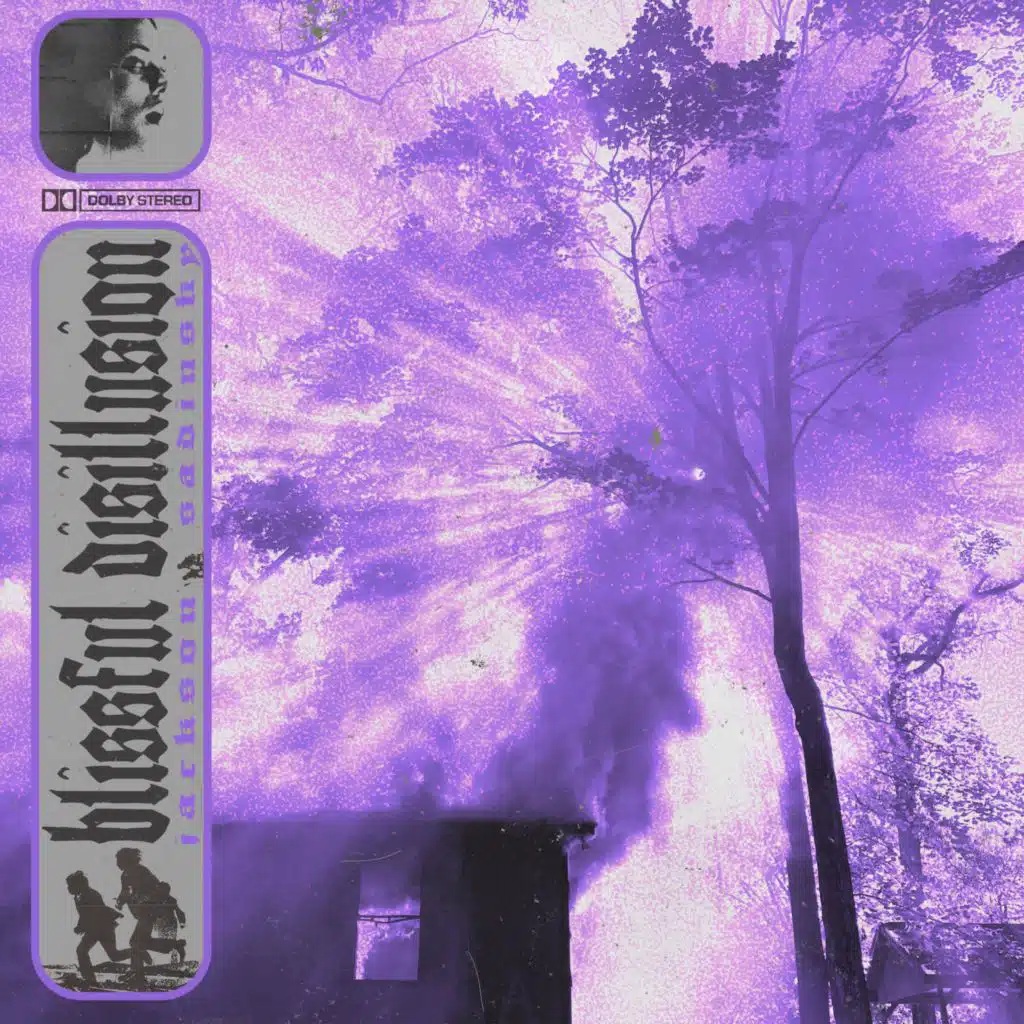 blissful disillusion