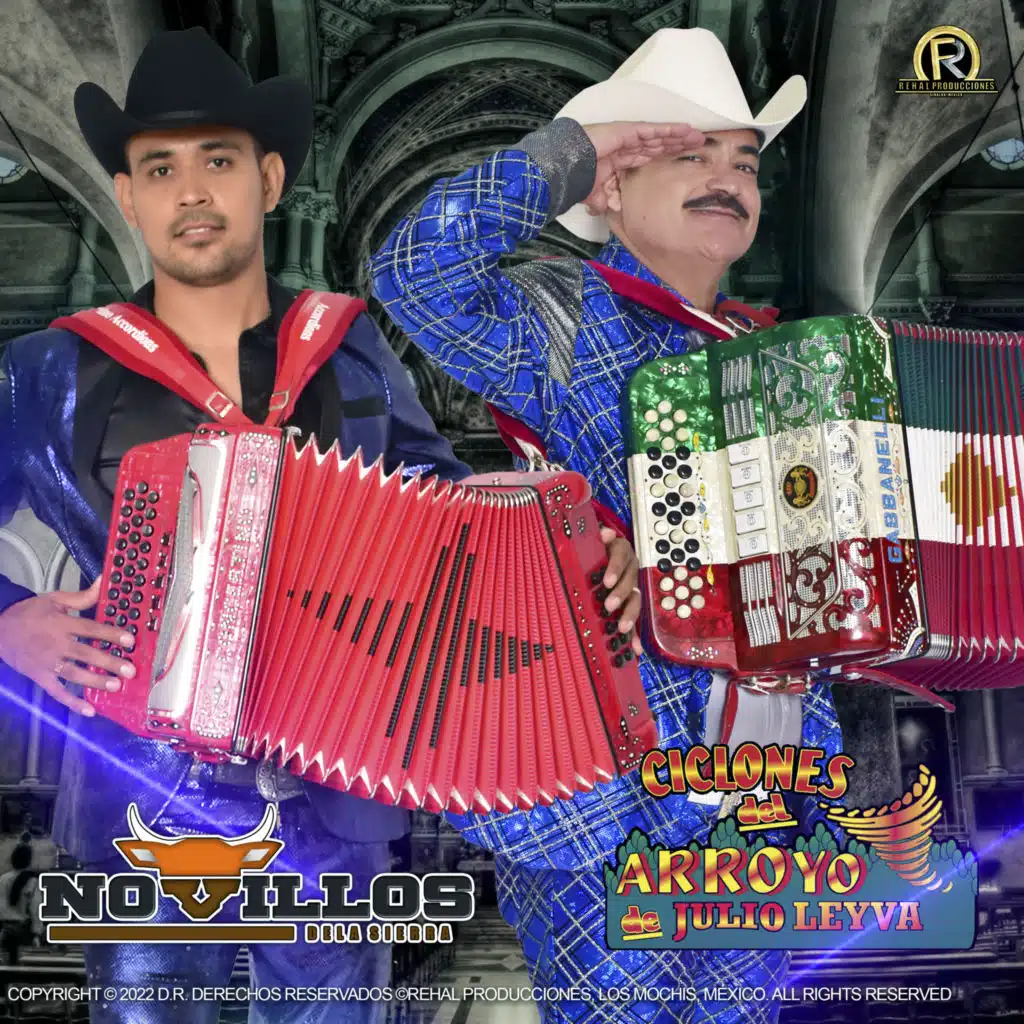 El Gato y Sus Felinos