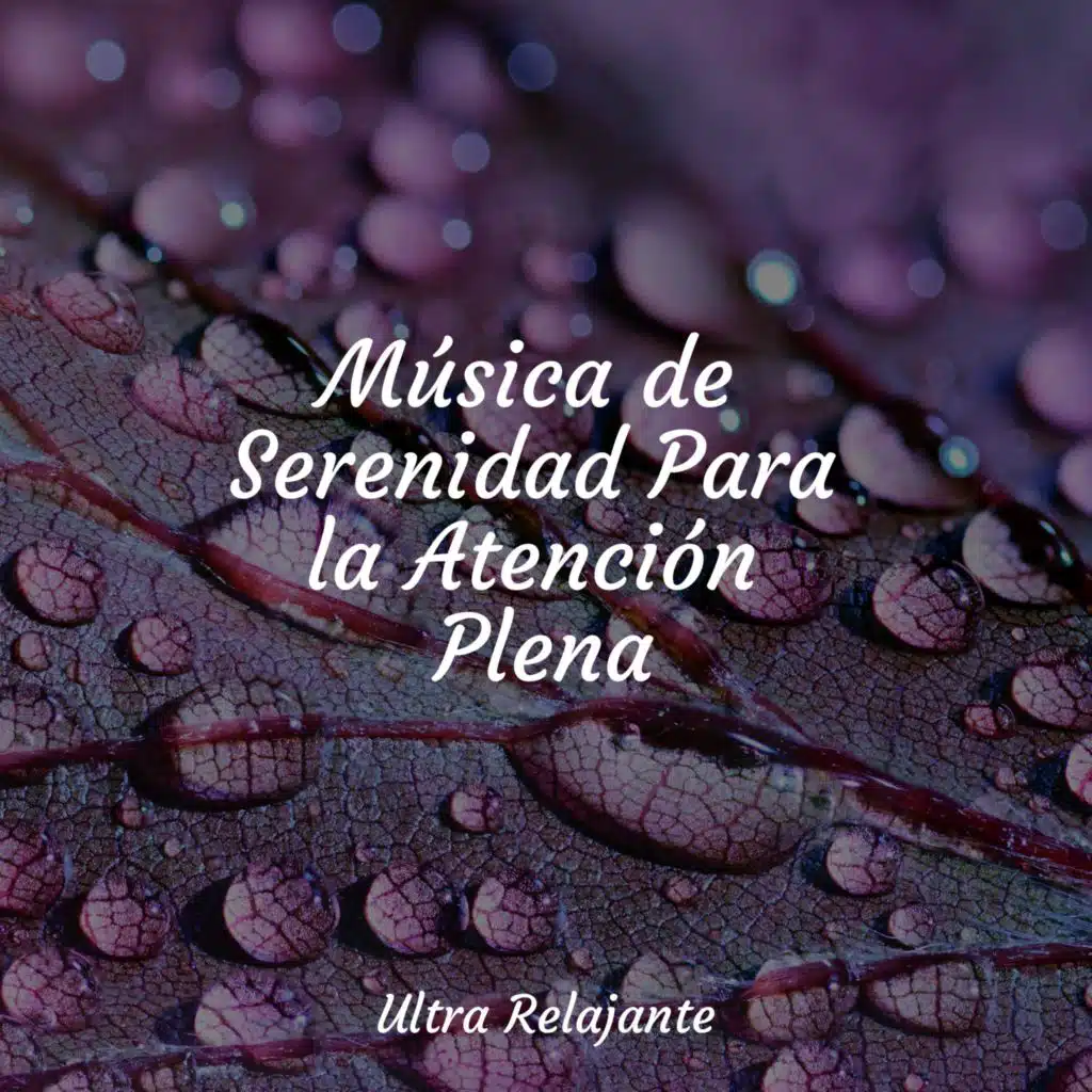 Música de Serenidad Para la Atención Plena