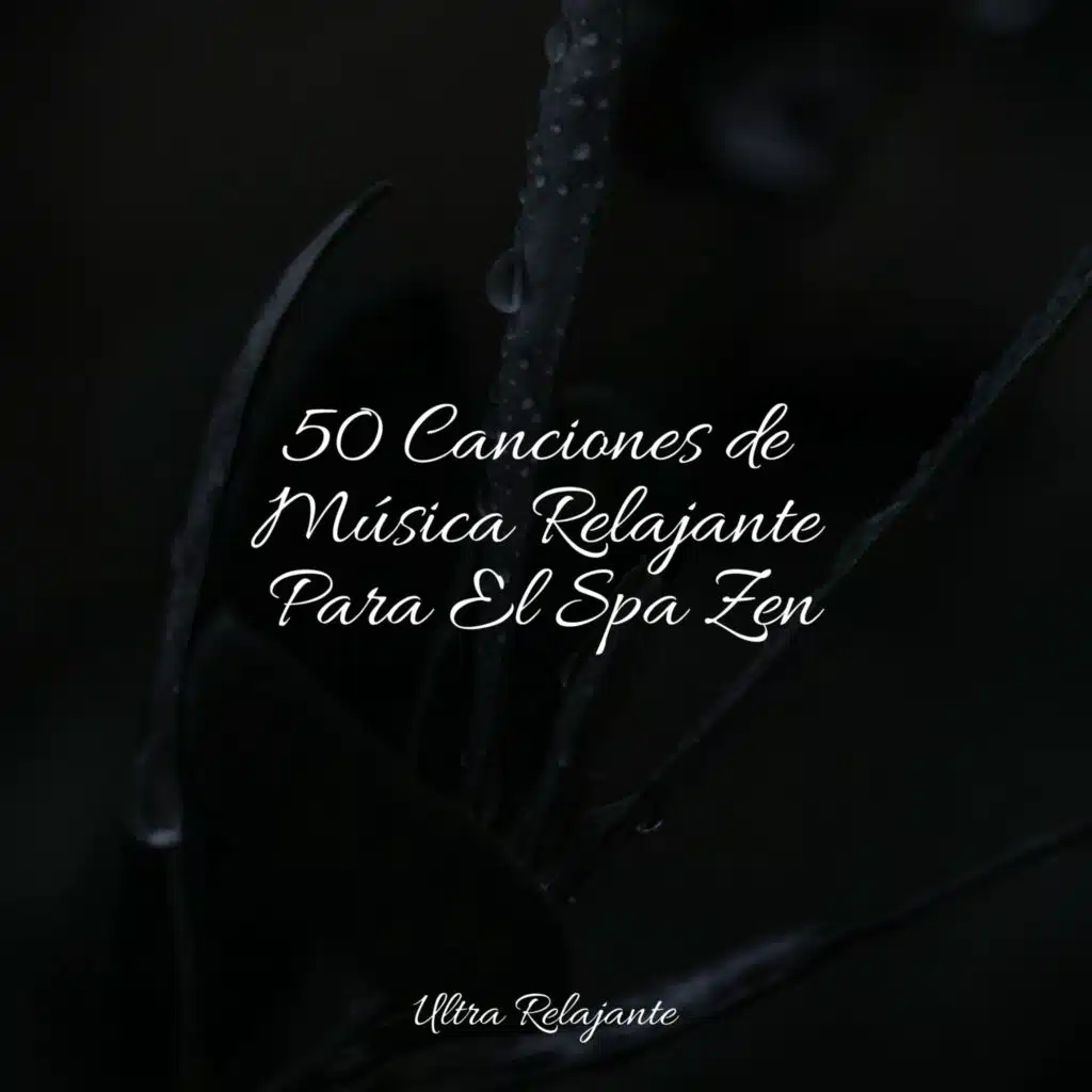 50 Canciones de Música Relajante Para El Spa Zen