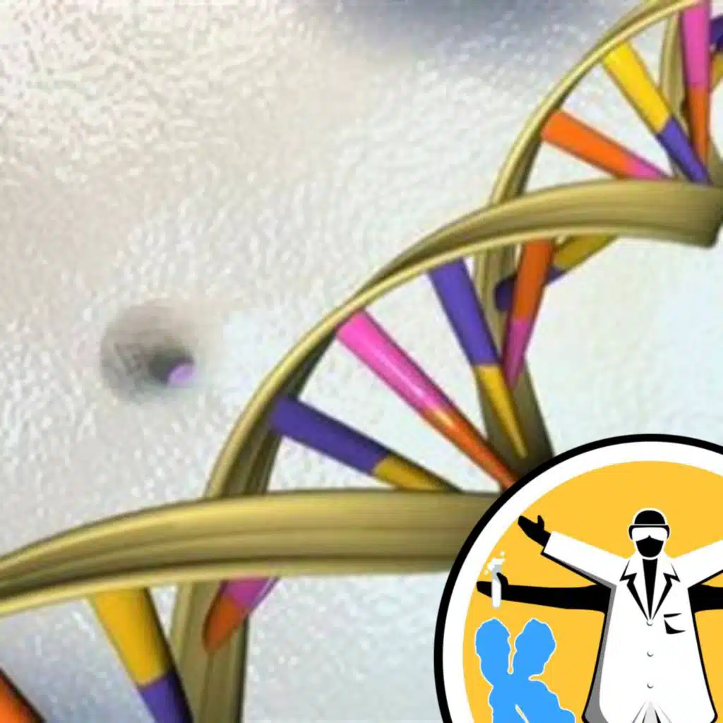 Genes and evolution - from populations to tumours